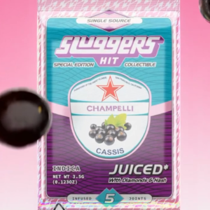 Sluggers Hit Champelli
