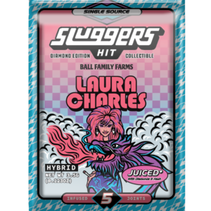 Sluggers Hit Laura Charles